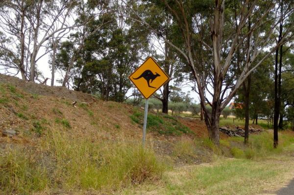Le fameux panneau que l'on ne trouve qu'en Australie !