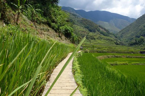 Promenade dans les rizières d'Hapao